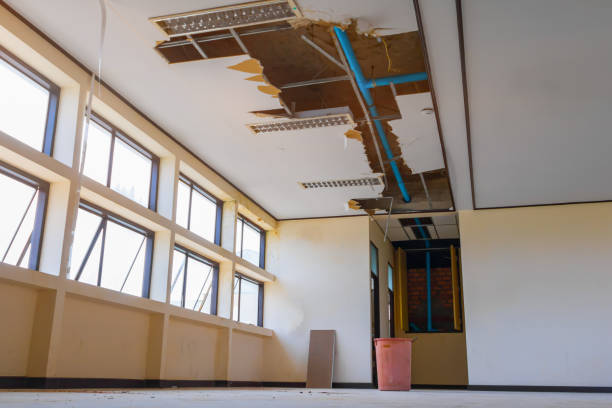 Best Flooded house restoration  in Auburn, GA