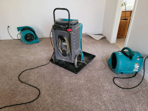 Best Water damage restoration near me  in Auburn, GA