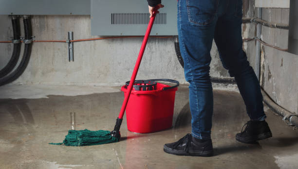 Best Carpet water damage restoration  in Auburn, GA