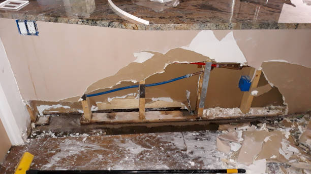 Best 24/7 water damage repair  in Auburn, GA