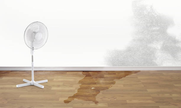 Best Fire Damage Restoration  in Auburn, GA