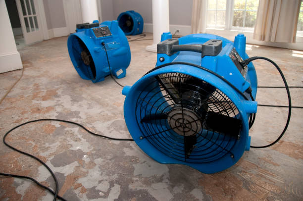 Best Water damage cleanup near me  in Auburn, GA