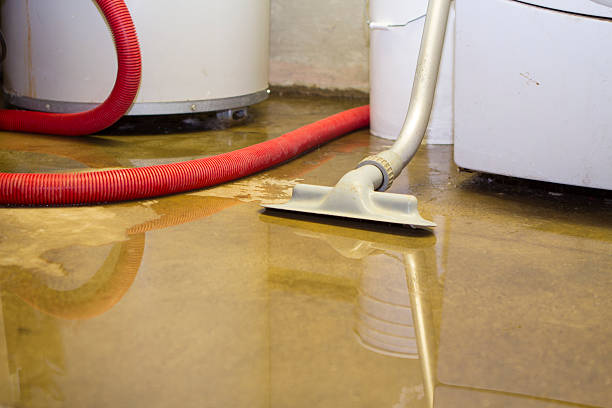 Best Ceiling water damage repair  in Auburn, GA