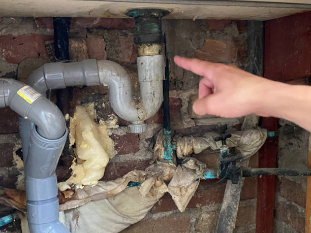 Best Sewage cleanup and water damage restoration  in Auburn, GA