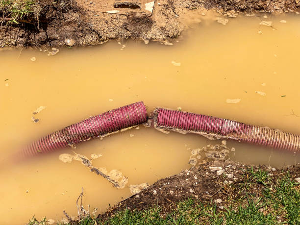 Best Residential water damage restoration  in Auburn, GA